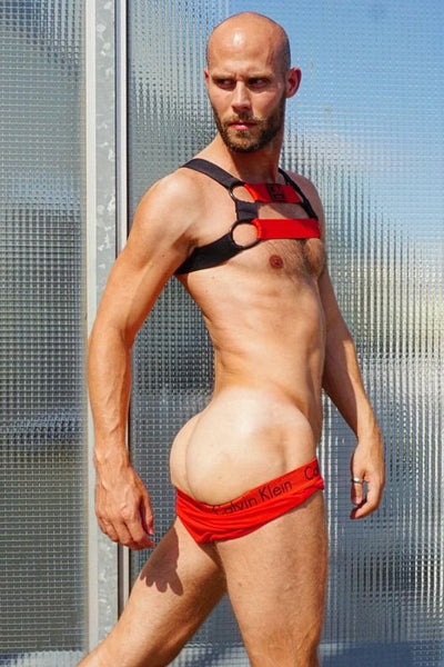 Rainbow Revelations: Humor and Style in the Gay Community's Underwear Choices