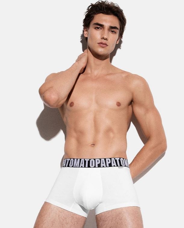 Step into Sensuality: Explore Prince-Wear's Sexy Boxer Briefs Collection
