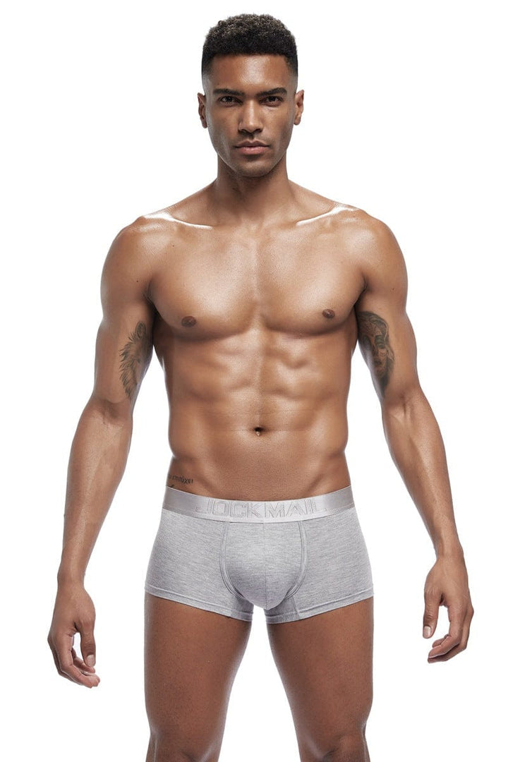 prince-wear popular products Gray / M JOCKMAIL | Core Low Rise Boxer